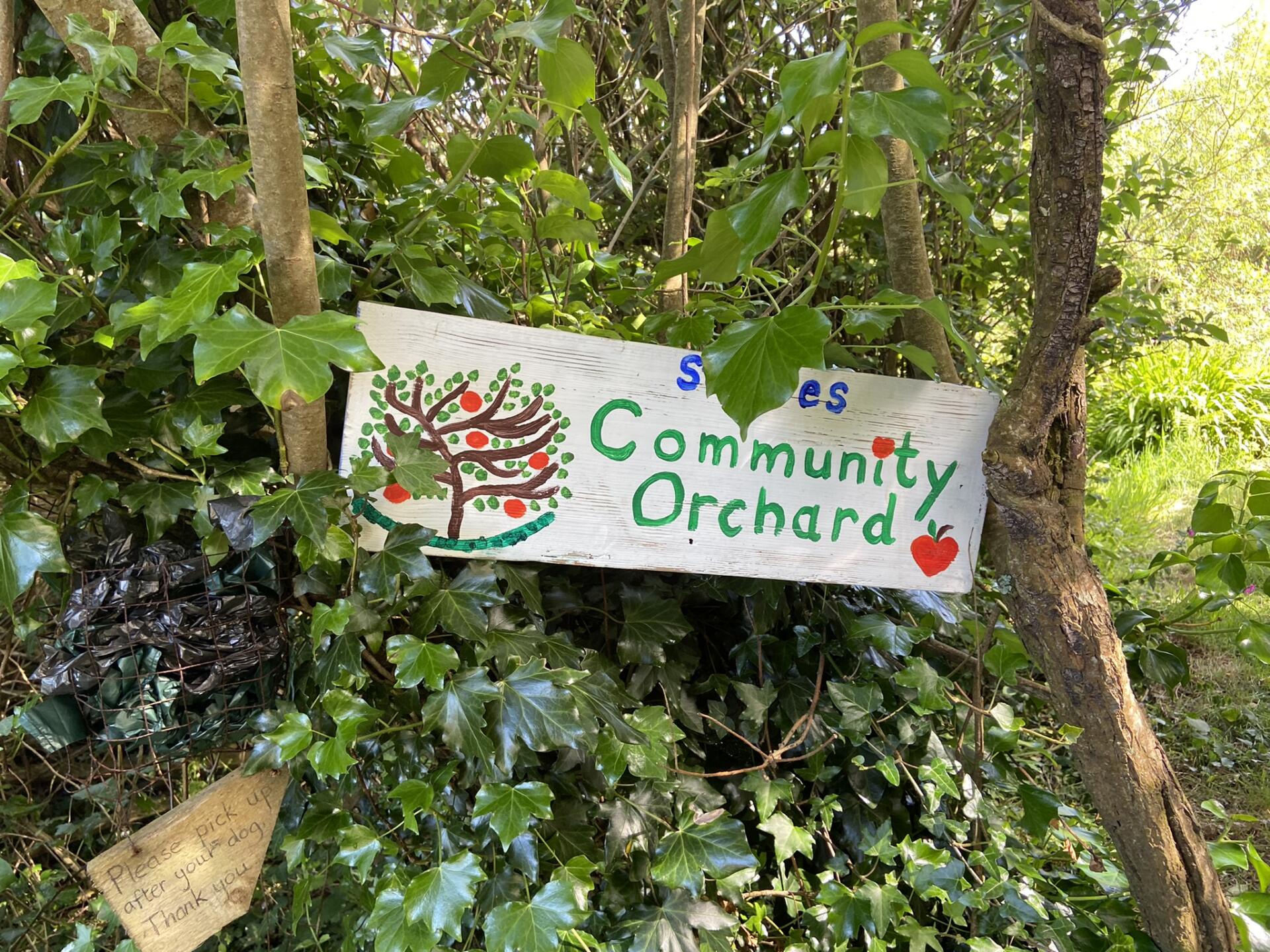 St Ives Community Orchard - St.Ives Town Deal